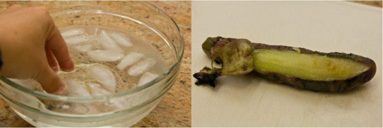 Japanese Grilled Eggplant (Yaki Nasu) 5