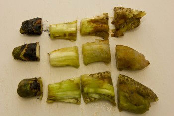 Japanese Grilled Eggplant (Yaki Nasu) 6