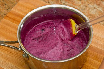 Blueberry Frozen Yogurt 6