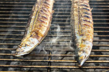 Grilled Sanma 9