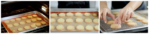 Meyer Lemon Cookies 15