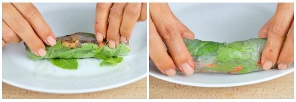 Fresh Spring Rolls with Yakiniku 13