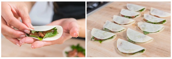 Chicken Shiso Gyoza 5