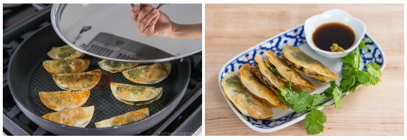 Chicken Shiso Gyoza 8