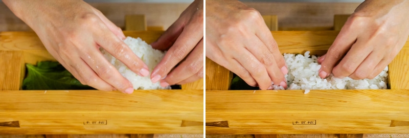 Mackerel Pressed Sushi 15