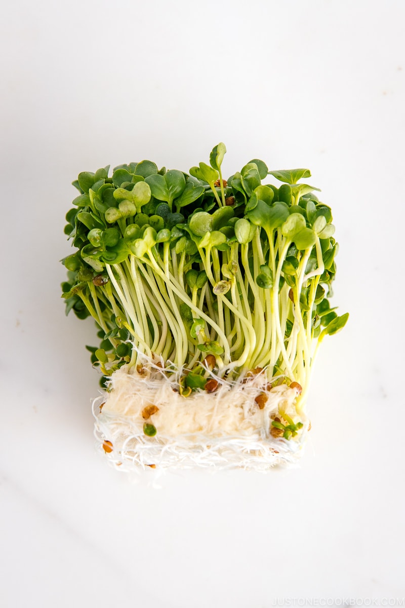Kaiware Daikon Sprouts | Easy Japanese Recipes at JustOneCookbook.com