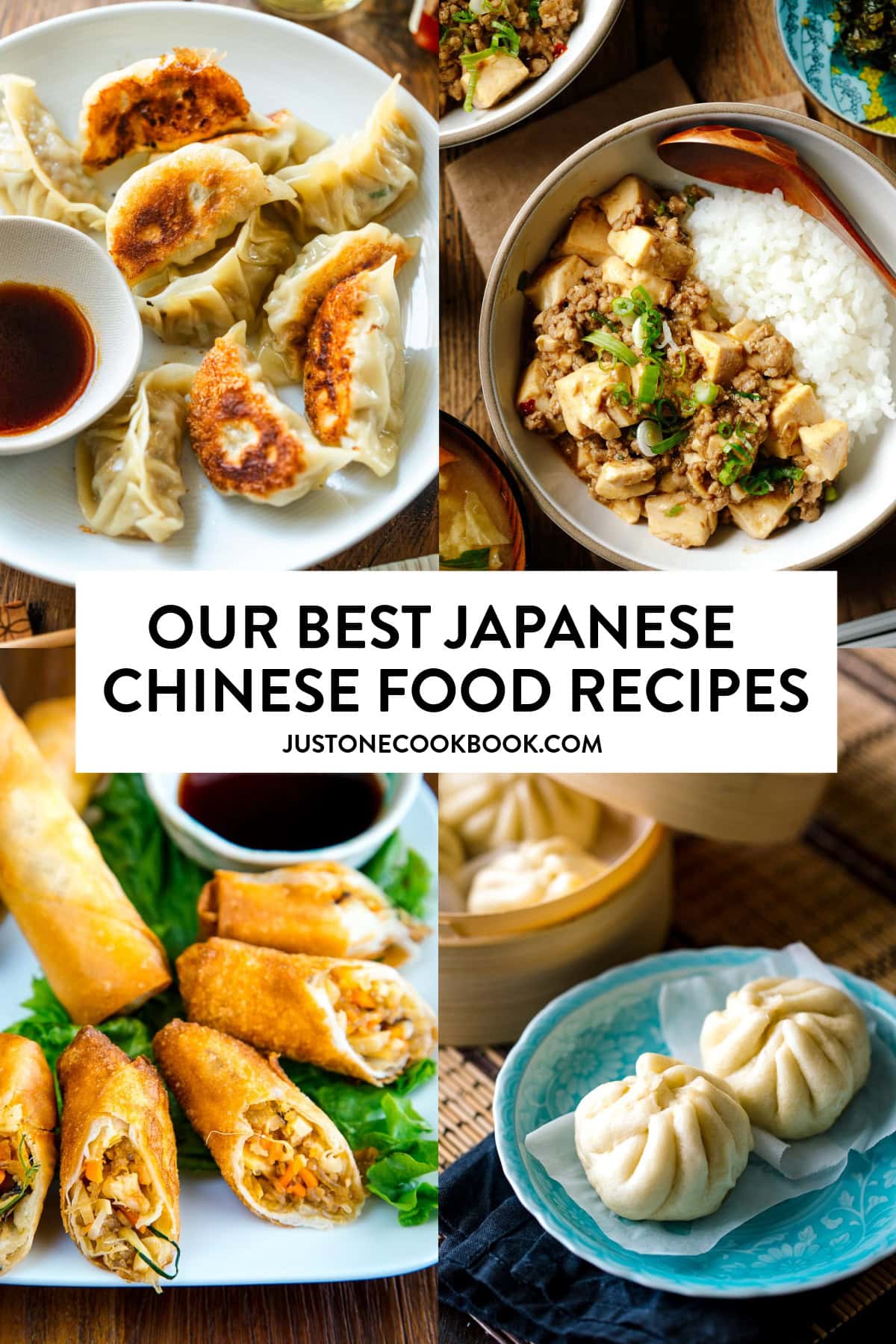 a collage of Japanese Chinese food recipes 