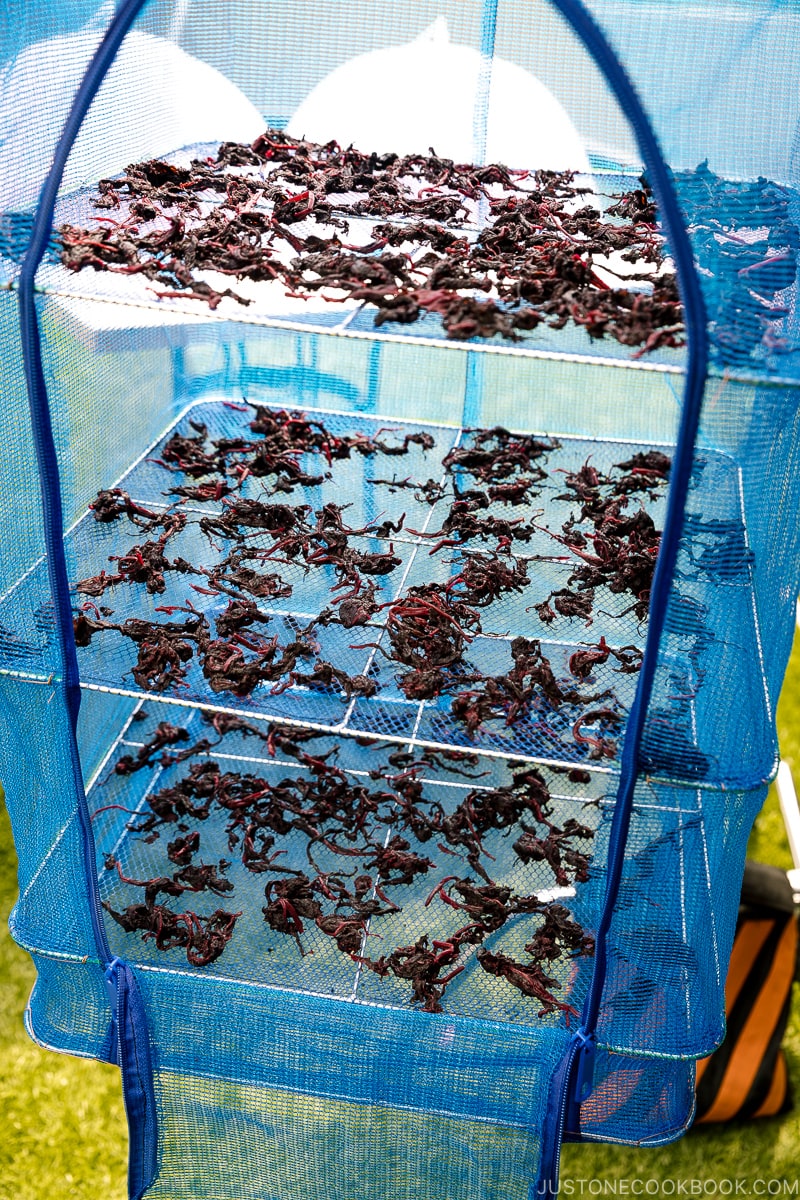 Yukari Shiso Rice Seasoning