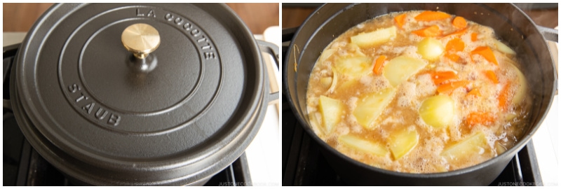 Japanese Chicken Curry 15