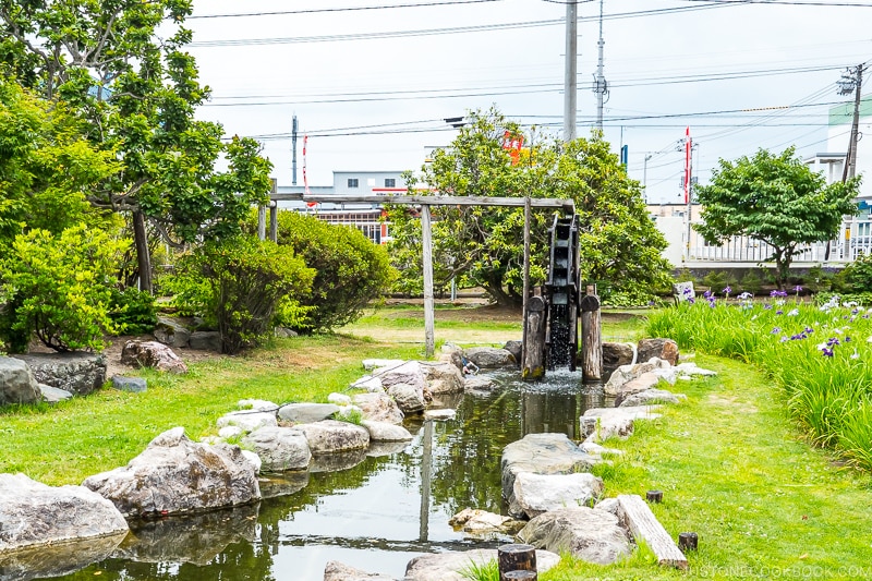 a water wheel in a pond