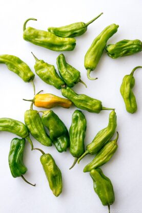 Shishito Peppers