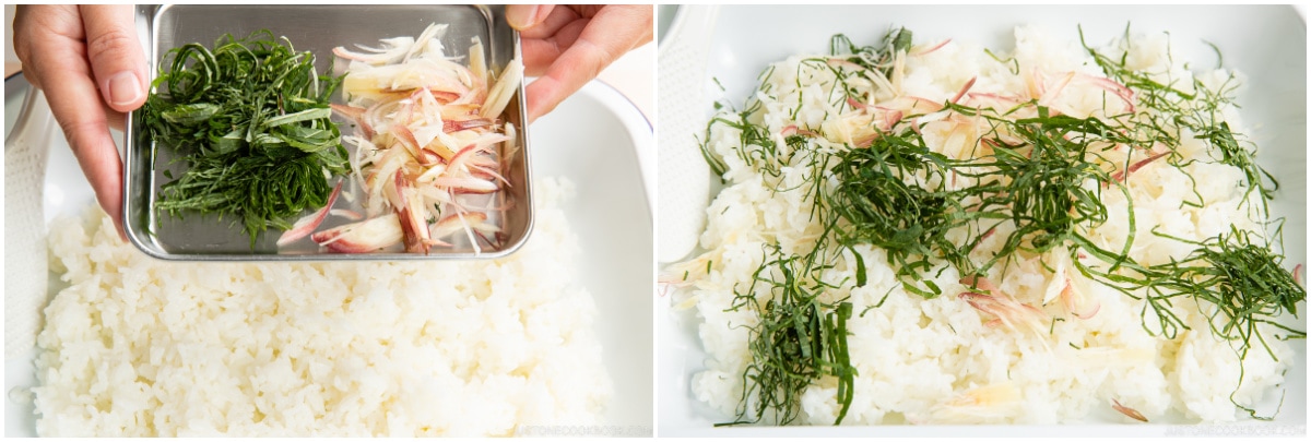 Salmon and Shio Koji Onigiri 3