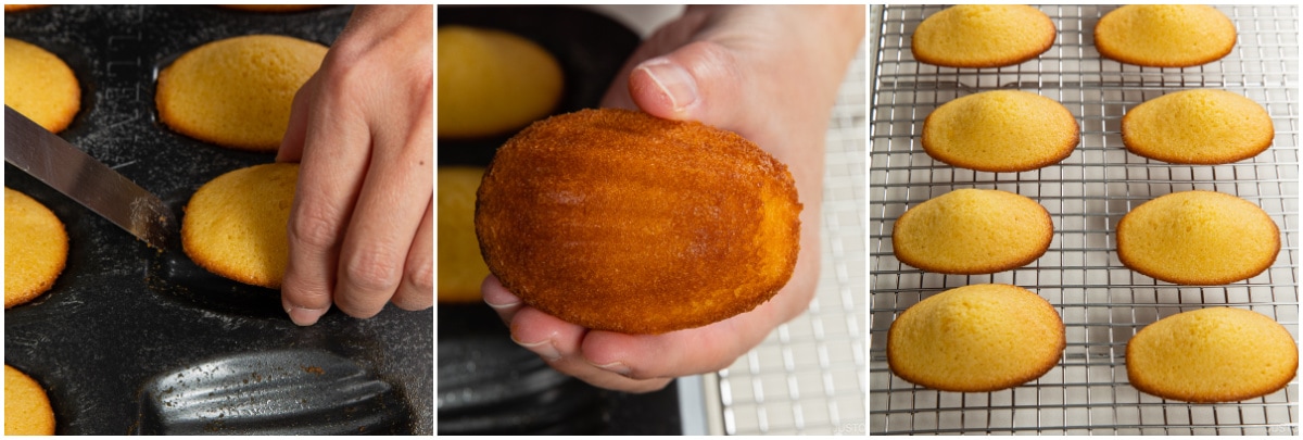 Madeleines 19