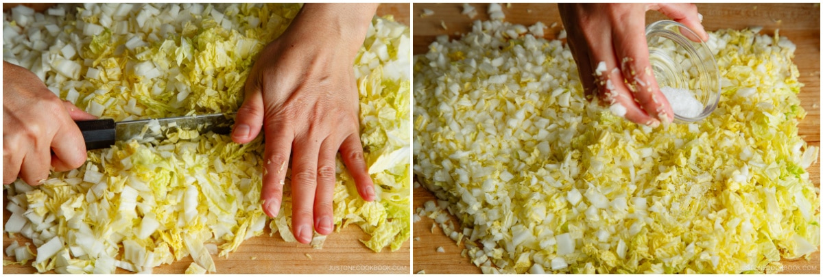 Napa Cabbage Gyoza 2