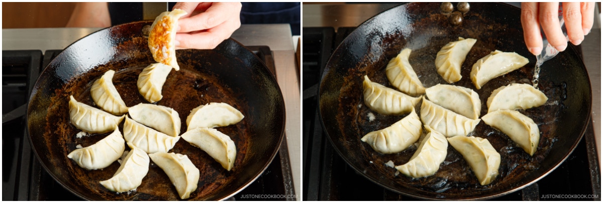 Napa Cabbage Gyoza 25