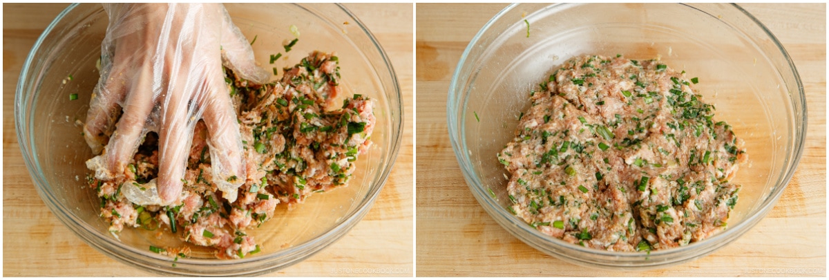 Napa Cabbage Gyoza 8