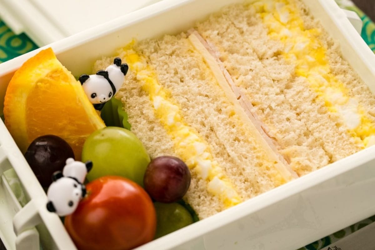 best bento boxes