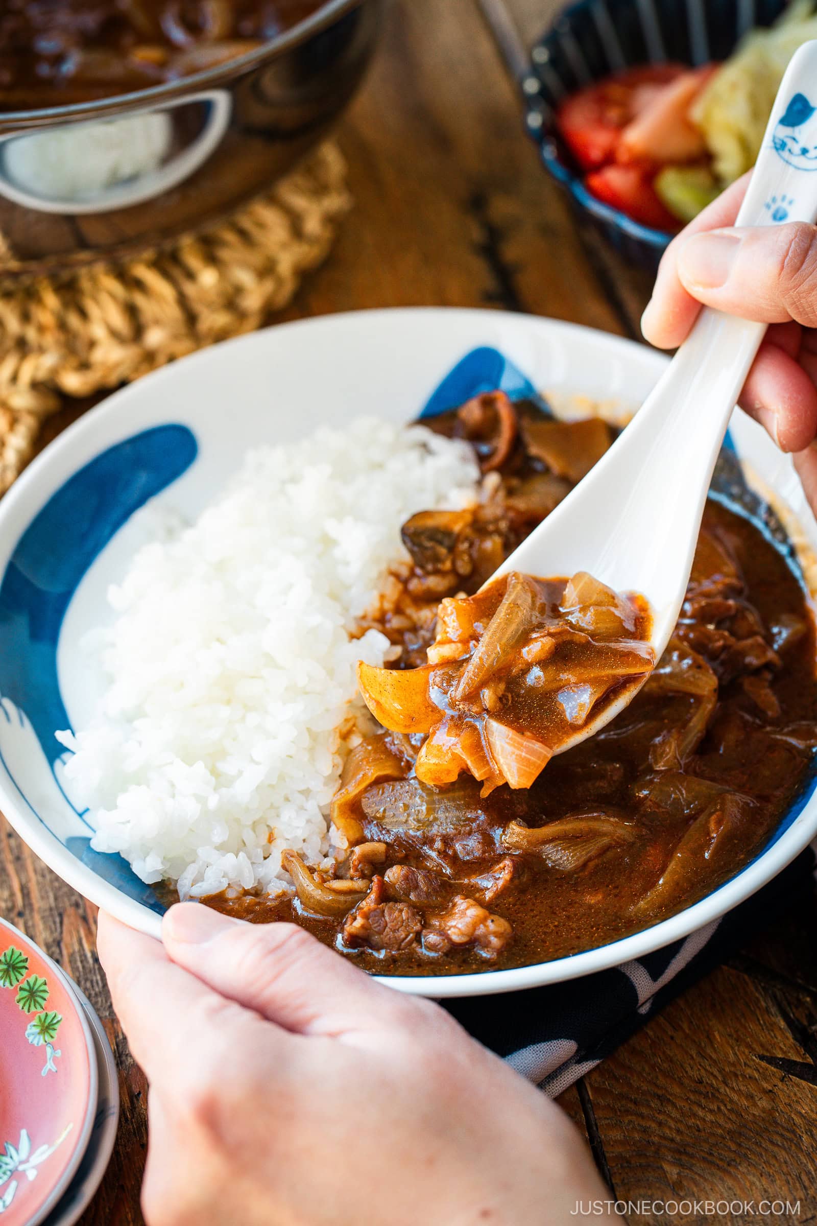 A round shallow bowl containing a bed of steamed rice and Hayashi Rice.