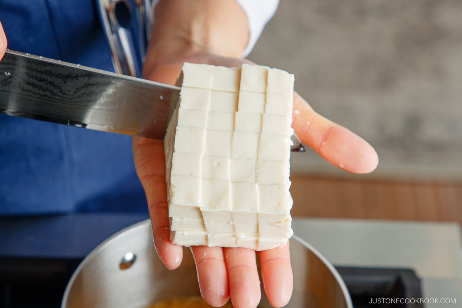Japanese Cutting Techniques: Tofu