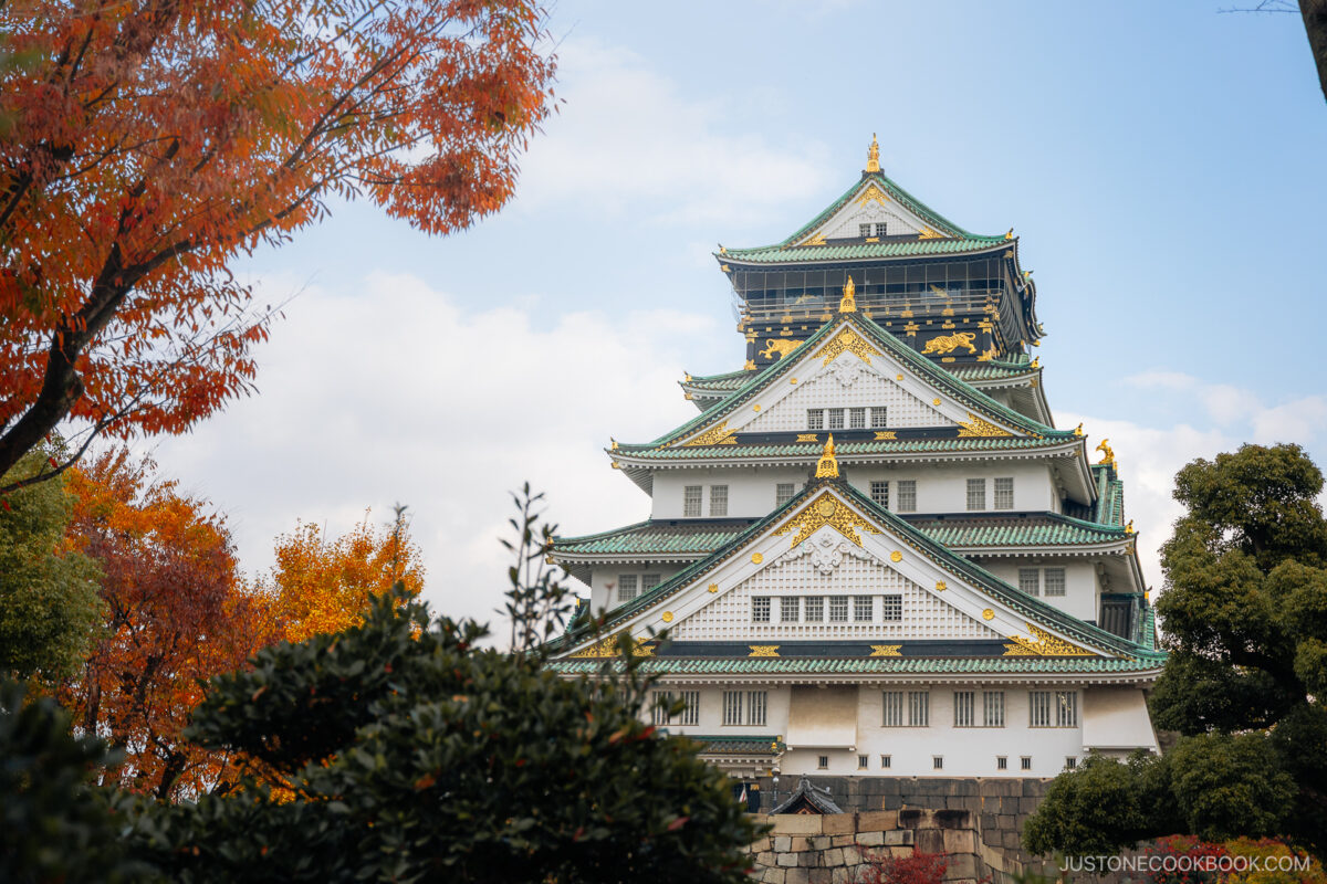 Autumn at Osaka Castle