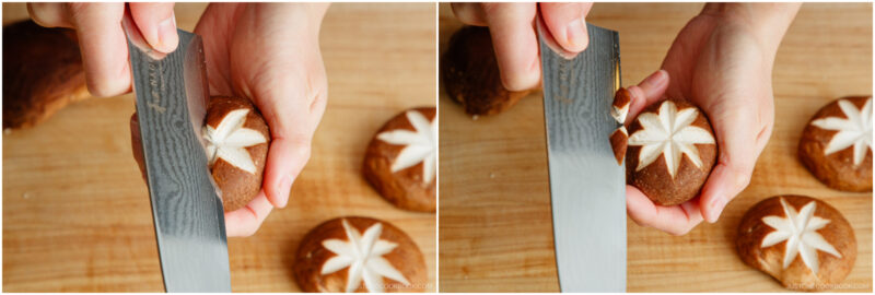 Shiitake Kazarikiri 3