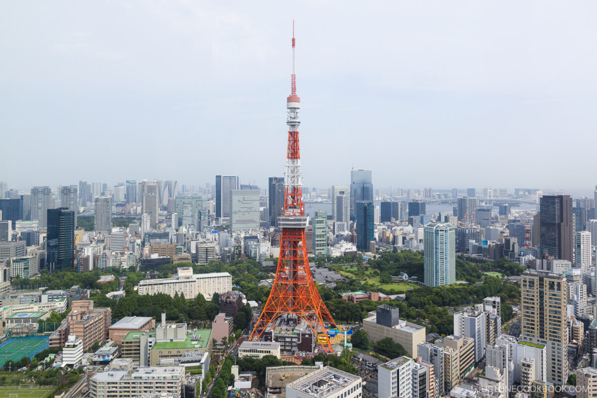 View of Tokyo Tower